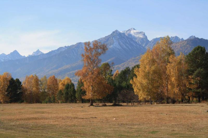 Осень Саяны Аршан