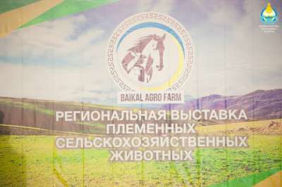 В Улан-Удэ состоялась региональная выставка племенного животноводства Бурятии
